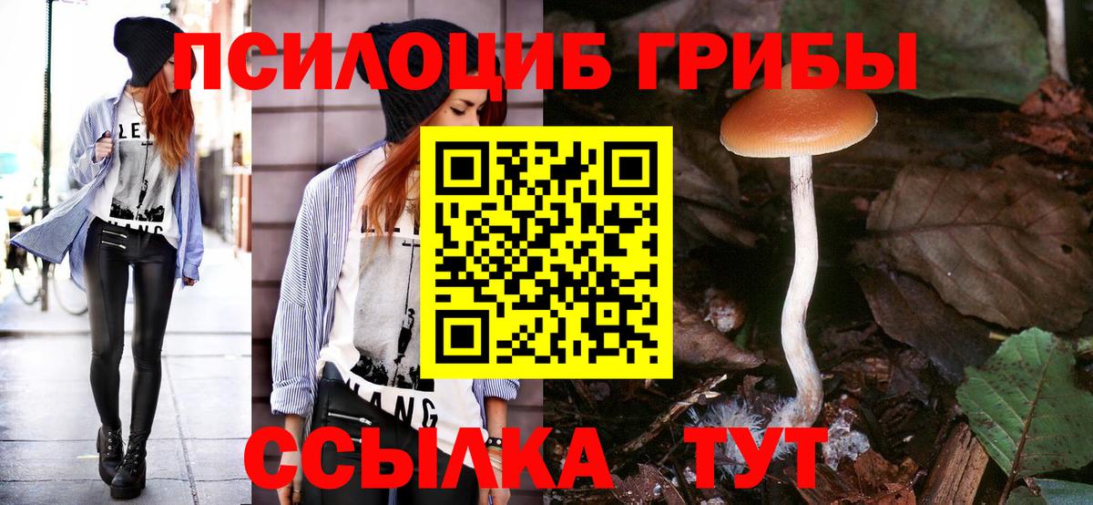 Псилоцибиновые грибы прущие грибы Волжский